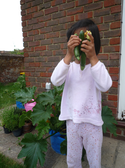 5 July courgettes 1.jpg